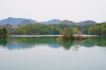 Fototapeta na wymiar 春のため池(香川県高松市)