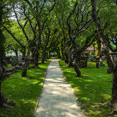 Fototapeta na wymiar old park, old christian cemetery, in the tropics, penang