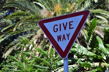 give way sign in New Zealand with palm trees in the background