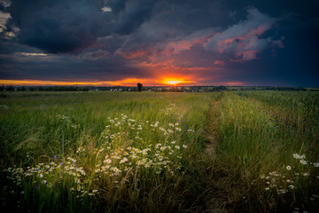 sunset over the fields