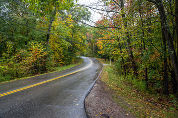 Deserted winding country road through a deciduous forest on a rainy autumn day