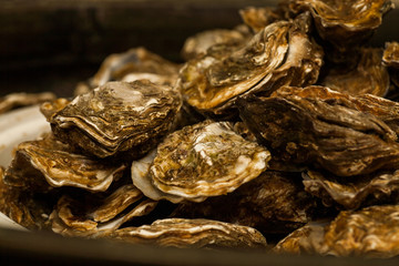 Healthy sea food, fresh Oysters gourmet close-up on white plate served in a restaurant