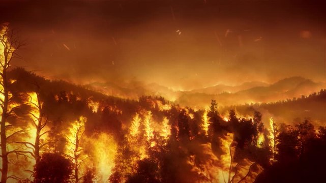 Aerial panoramic view of a forest fire at night, heavy smoke causes air pollution, and fire in full blaze. Some of the material is from NASA
Pigment Ajans - Visual Effects