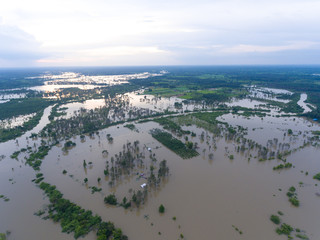 Fototapeta premium Sakonnakhon, Thailand - August 3, 2017 (Ban kang tha lap village,Kusumal district,Sakonnakhon) : Flood waters overtake a house and rice field in northeast of Thailand from above view by drone