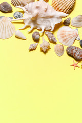 Seashells, starfish and sea rock frame on yellow background. Natural seashore textured surface, top view, copy space. Minimal simple summer time concept.