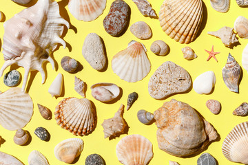 Seashells, starfish and sea rock collection on yellow background. Natural seashore textured surface, top view, copy space. Minimal simple summer time concept.