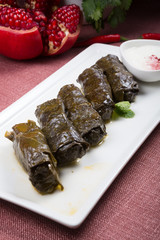 Dolma rolls served on a white plate