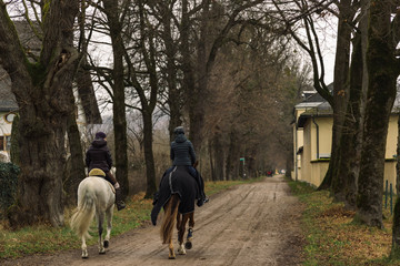 soft focus horse riders back to camera in autumn park dirt trail moody weather time after rain with...