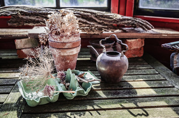 Gartenimpressionen im Gartenhaus