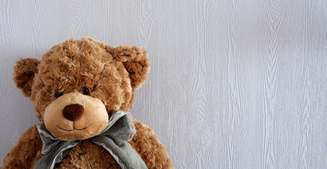 Soft brown bear. Children's toy