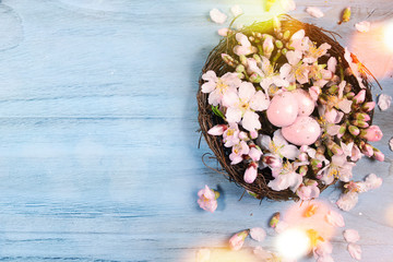 Easter background with bird case and spring flowers