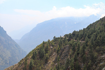 Obraz premium Footpath through coniferous forest lying on mountainside in Himalayas. Everest Base Camp Trekking Route. Beautiful landscape. Theme of travel in Nepal.