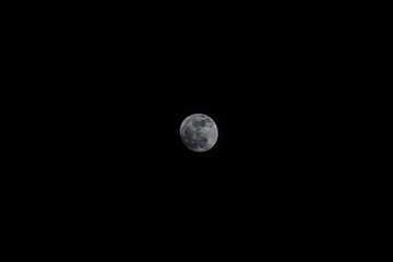 mond