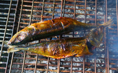 Two smoked horse mackerels on a barbecue grill