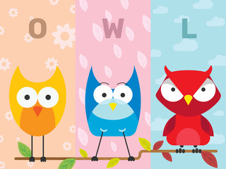 Fototapeta premium Three Owls Perching on Branch