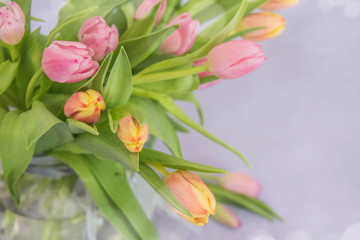 Spring background with tulips. Card for Mothers day, 8 March, Easter