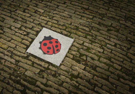 A ladybird on a tile is the dutch sign of senseless violence