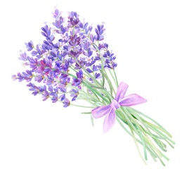 Lavender bouquet on an isolated white background, watercolor illustration of lavender, hand drawing. Stock illustration for design, invitations, greeting cards, postcards, pattern.