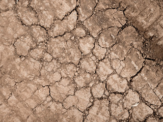 Detail of dry land as a background