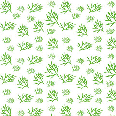 Fragrant and fresh dill - vector pattern on a white background. dill branch - delicious and healthy greens