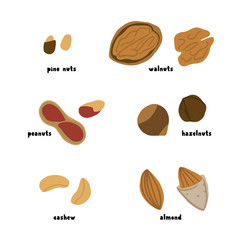 Fototapeta na wymiar Cartoon nuts set Vector illustration
