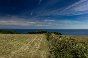 Fototapeta premium The Channel Islands in summer with good weather and greenery