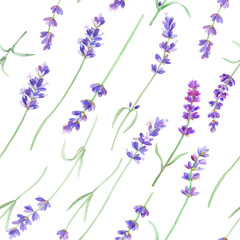 Naklejka premium Watercolor pattern with lavender on isolated white background, watercolor hand drawing. Fabric wallpaper print texture. Stock illustration.