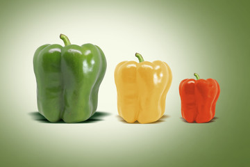 Capsicum