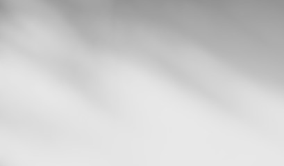 Abstract Shadows, blurred background of gray leaves and natural trees that reflect concrete walls, fallen branches on white wall surfaces for blurred backgrounds and black and white wallpapers.