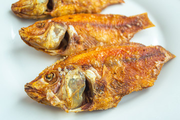 Ikan goreng or fried fish, 
has a good taste and has good nutrition for the body. on white plate
