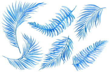 Set of blue tropical leaves. Jungle, botanical watercolor illustrations, floral elements, palm leaves, fern and others. Hand drawn watercolor set of leaves and home plant