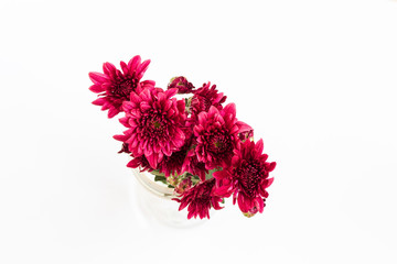 bouquet of red chrysanthemum  on black background