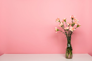 Vase with a beautiful pink carnation flower on white table. Pastel rose background, copy space for your text