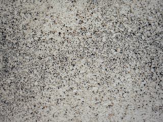 Texture of a gray wall for design.