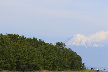 三保の松原と富士山