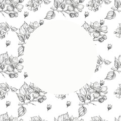 Fototapeta premium flowers blackberry plants garden pattern seamless print textile graphics line ink hand drawn congratulations postcard card background illustration spring nature summer