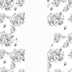 flowers blackberry plants garden pattern seamless print textile graphics line ink hand drawn congratulations postcard card background illustration spring nature summer