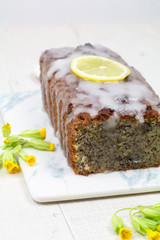cake aux graines de pavot et citron 
