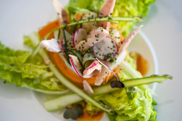Tuna salad with asparagus, lettuce, carrots and radish, sprinkled with chives. Healthy green salad.