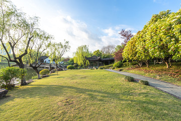 road in park