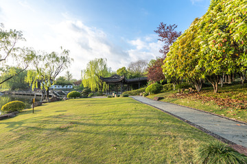 road in park