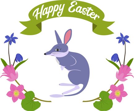 Poster with cute little easter bilby isolated on white background.