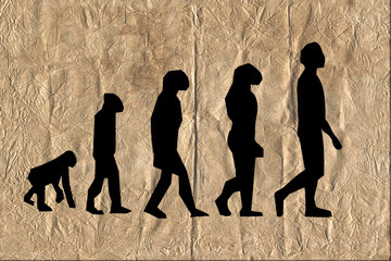Evolution theory on old paper - obrazy, fototapety, plakaty