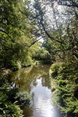 Arboretum, Parc Vallee aux Loups