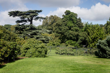 Arboretum, Parc Vallee aux Loups