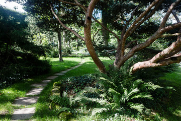 Fototapeta na wymiar Arboretum, Parc Vallee aux Loups