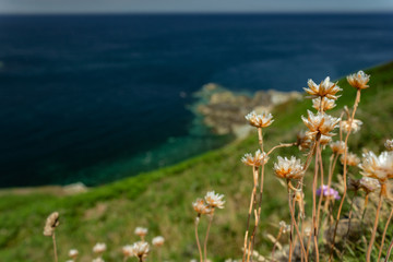 Obraz premium The Channel Islands in summer with good weather and greenery