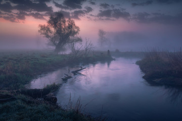 Fototapeta na wymiar Foggy morning on the Jeziorka river near Piaseczno, Poland