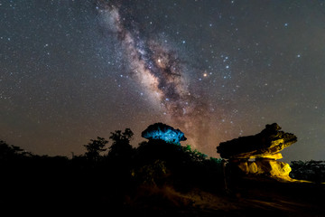 Night landscape with colorful Milky Way