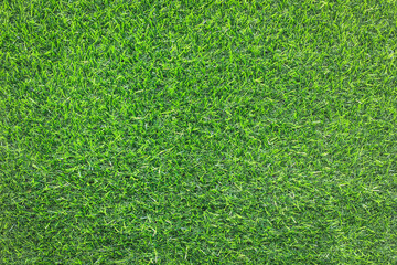 green grass background